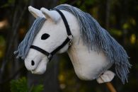 2020-05-valkoharmaa DSC_8555