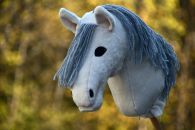 2020-05-valkoharmaa DSC_8592