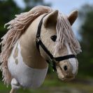 Kirjava keppihevonen, jolla pitkä piirto