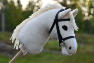 2021-05-voikko DSC_0292