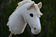 2021-05-voikko DSC_0310