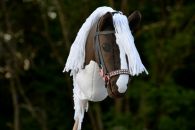 2021-06-ruskea-valkoinen DSC_0407