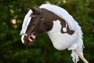 2021-06-ruskea-valkoinen DSC_0415