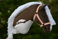 2021-06-ruskea-valkoinen DSC_0419