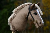 2021-09-ruskea DSC_0516