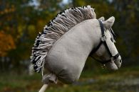 2021-09-vuonohevonen DSC_0475