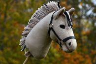 2021-09-vuonohevonen DSC_0482