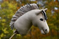 2021-09-vuonohevonen DSC_0489