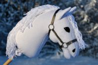 2022-01-valkoinen DSC_0672