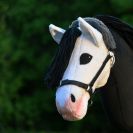 Valkopää keppihevonen