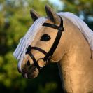 Vaaleanruskea keppihevonen, jolla piirto