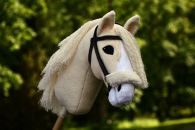 2022-06-voikko-lasilla DSC_0873