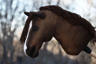 2023-04-tumman-ruskea DSC_2694-1000