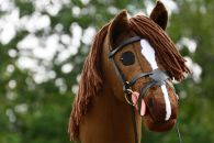 2023-08-punarautias DSC_3228