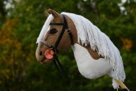 2023-09-Ruskea-kirjava DSC_3264