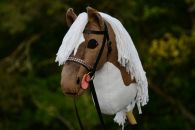 2023-09-Ruskea-kirjava DSC_3270